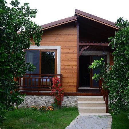 Villa Bilge Çıralı Rum bild