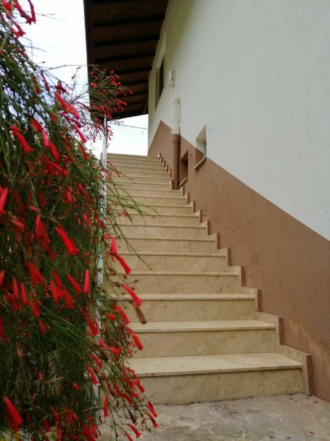 Villa Bilge Çıralı Exteriör bild