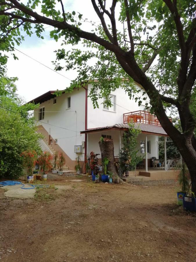Villa Bilge Çıralı Exteriör bild