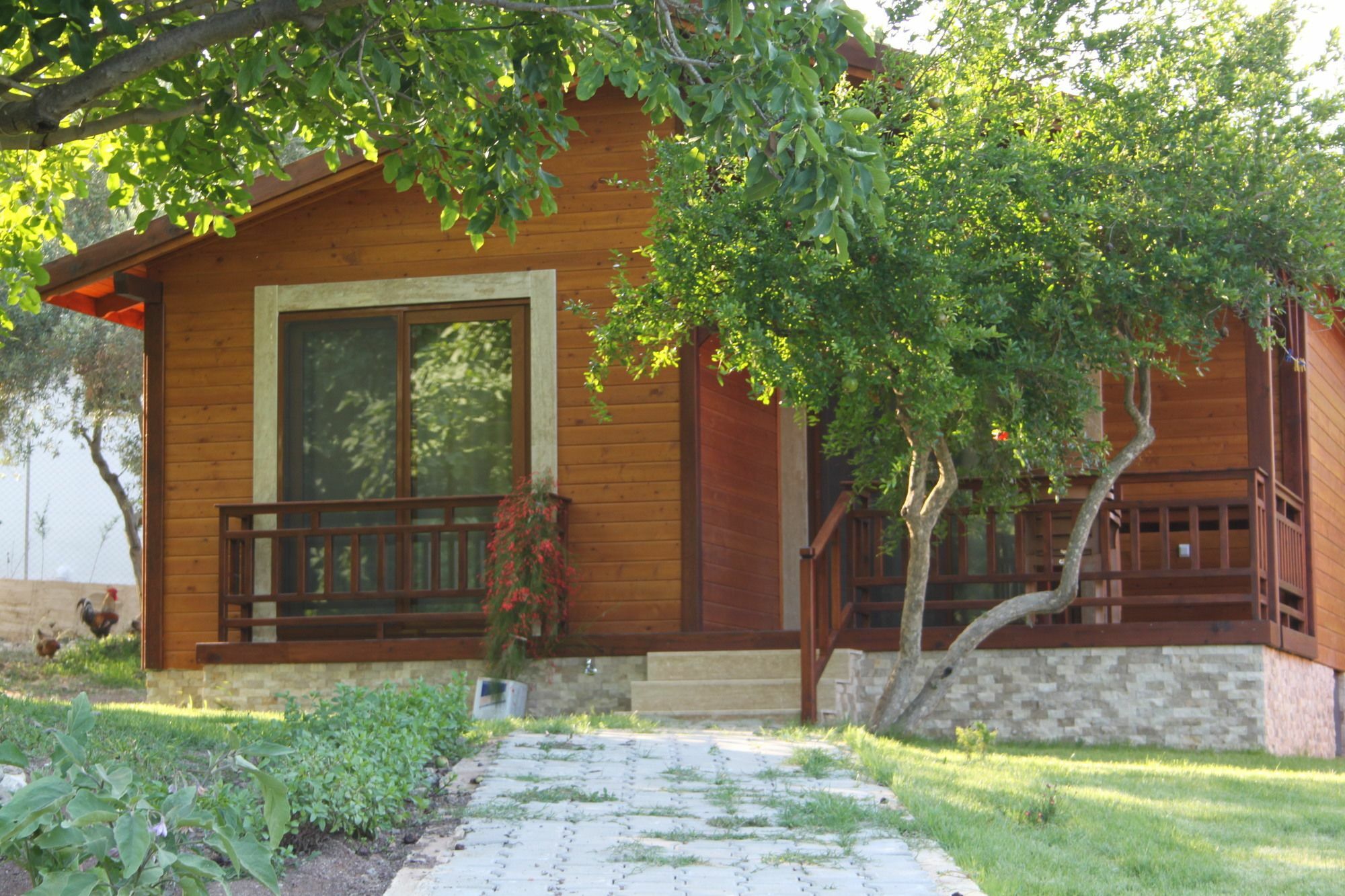 Villa Bilge Çıralı Exteriör bild