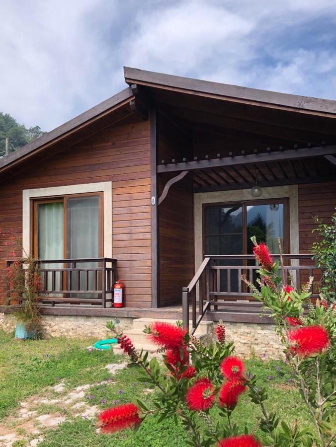 Villa Bilge Çıralı Exteriör bild