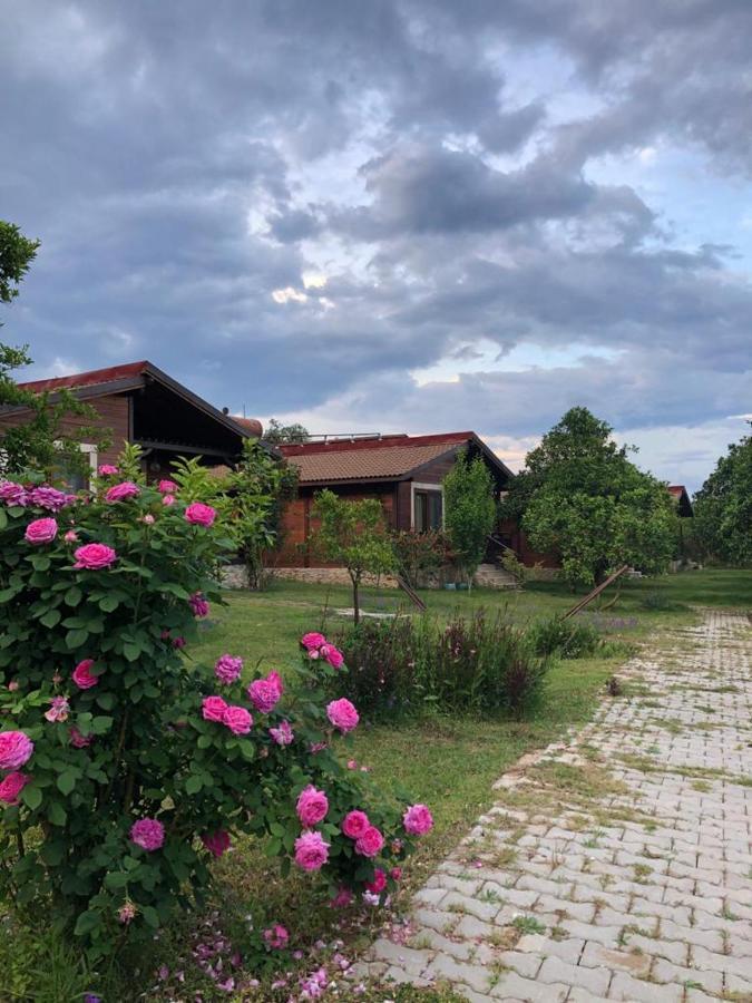 Villa Bilge Çıralı Exteriör bild