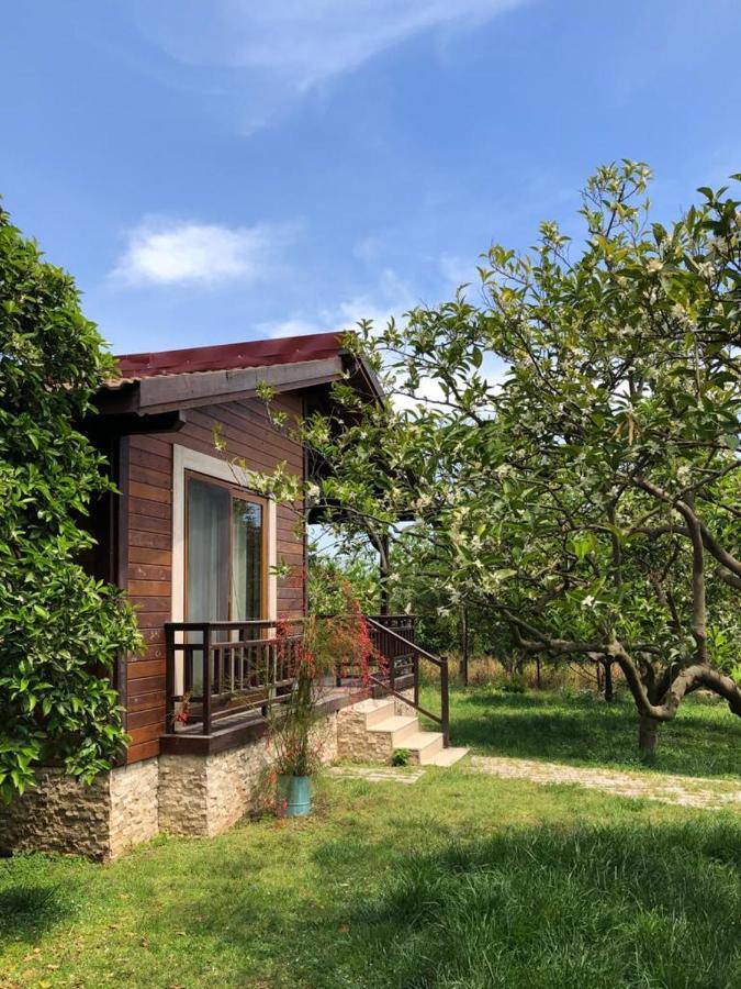 Villa Bilge Çıralı Exteriör bild