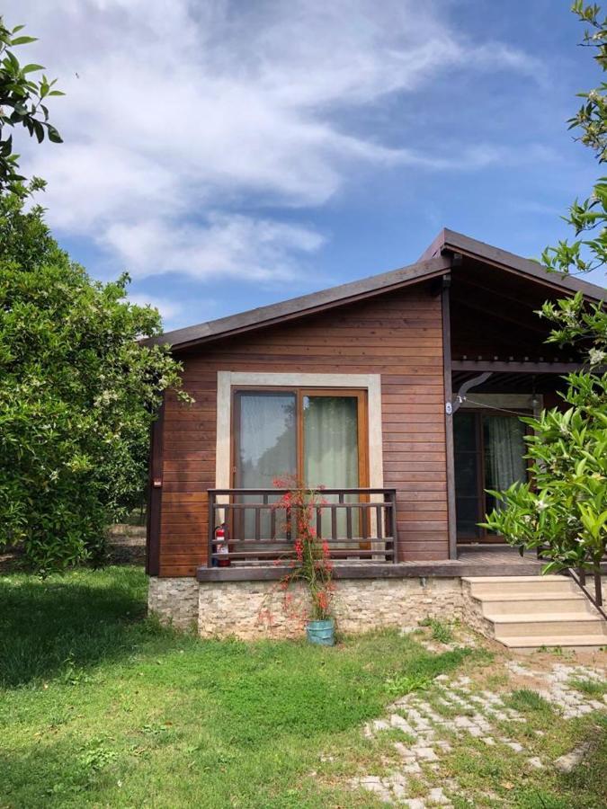 Villa Bilge Çıralı Exteriör bild